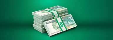 تسهیلات سازمانی ویپاد